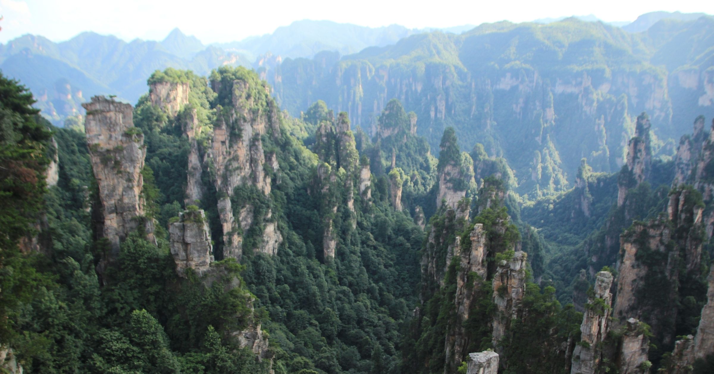 Hutan Karst: Kenapa Penting? Pandangan Ahli vs. Warga Lokal