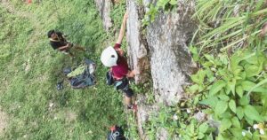 Mengenal Olahraga Panjat Tebing, Manfaat, dan Teknik Dasarnya